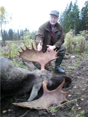älg